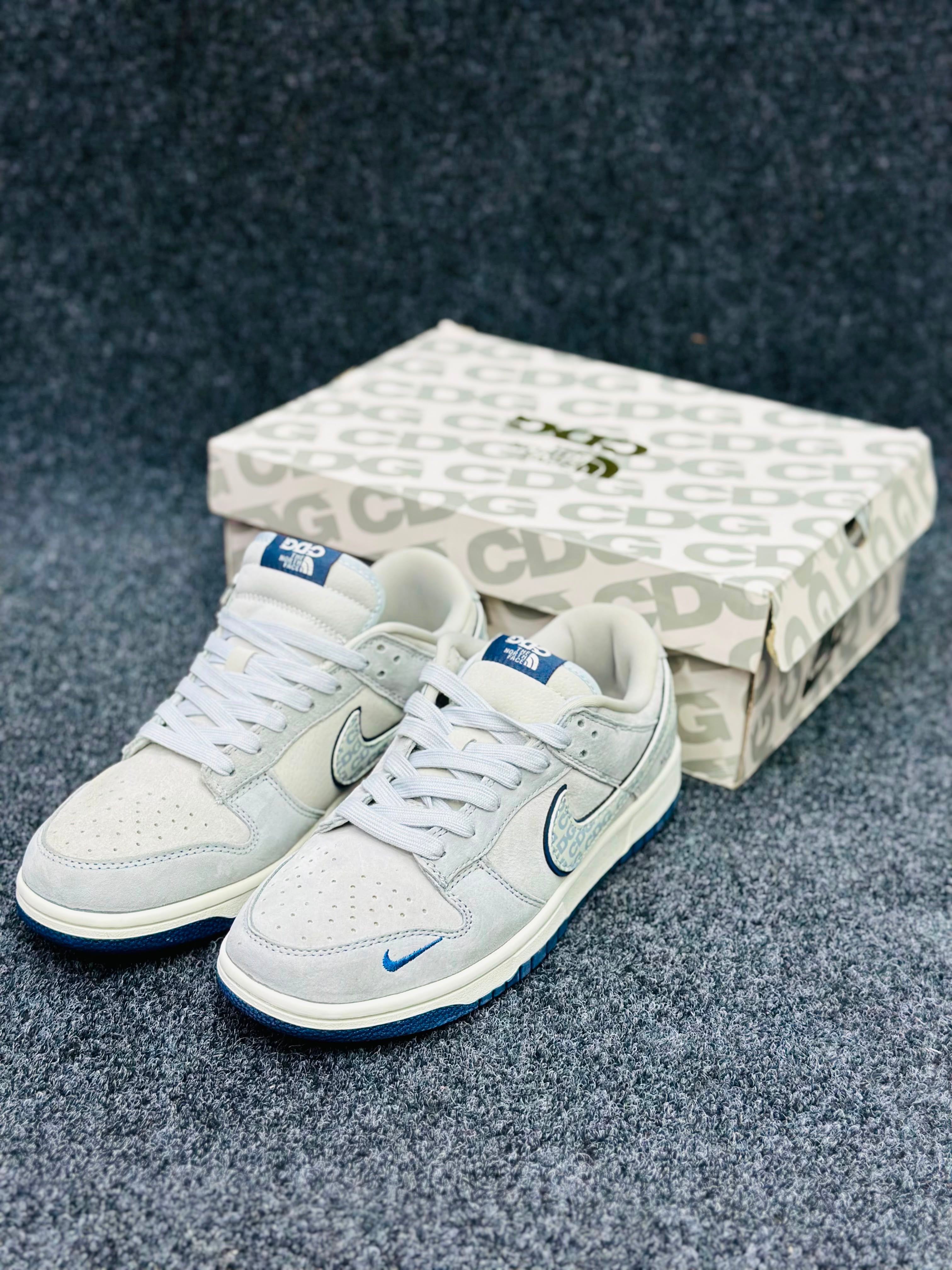 NK SB Dunk Low Pro- North Face