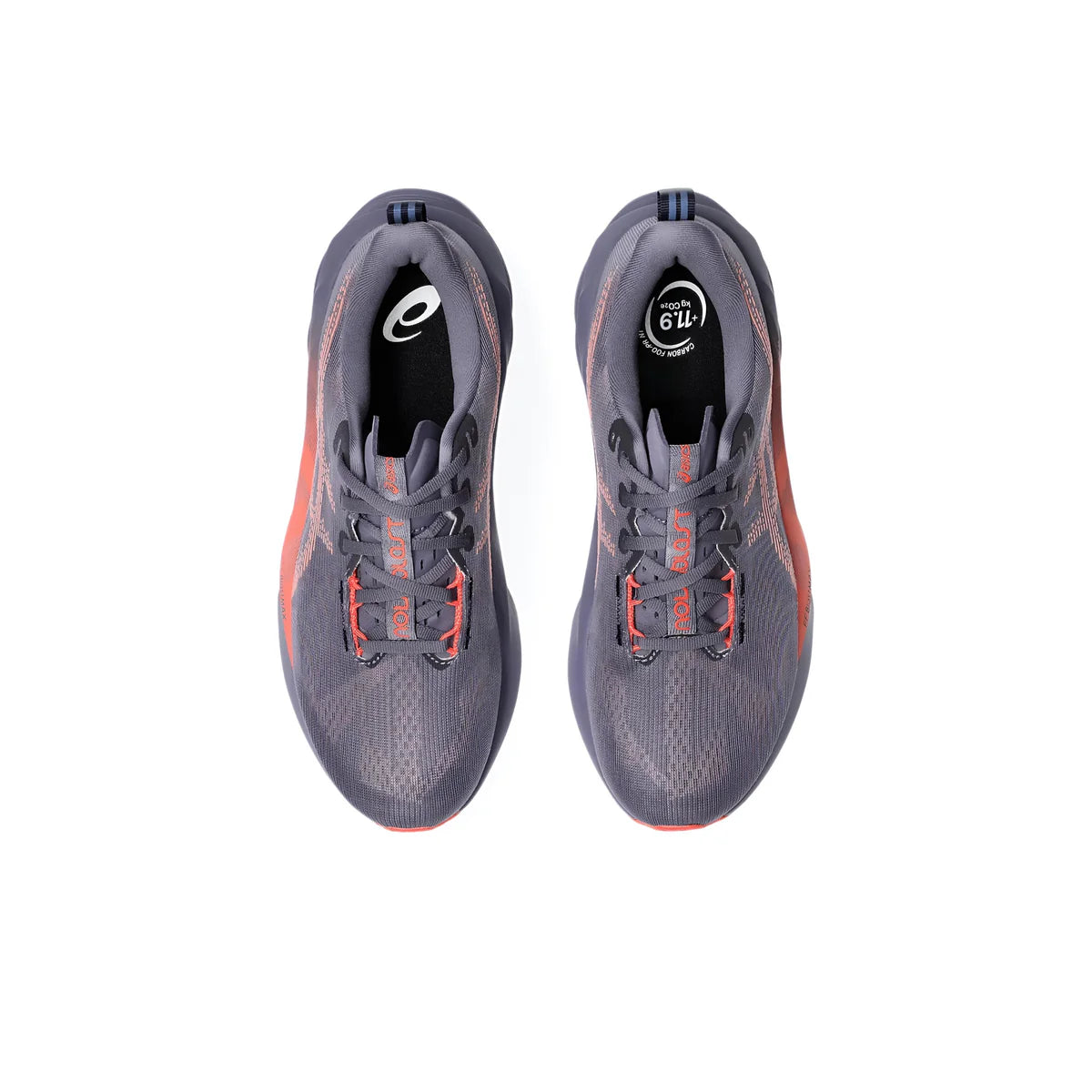 NovaBlast 5 - Purple Coral