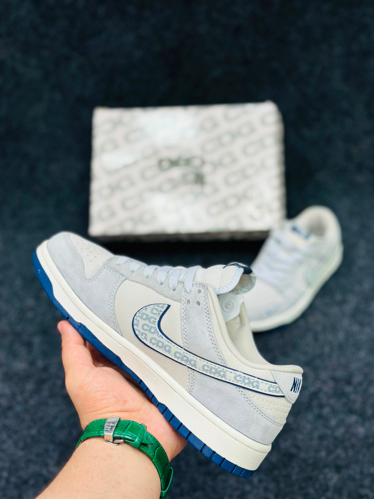 NK SB Dunk Low Pro- North Face