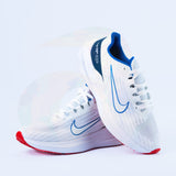 Nike Winflo 9(white with Racer blue)