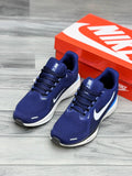 Nike Zoom Pegasus