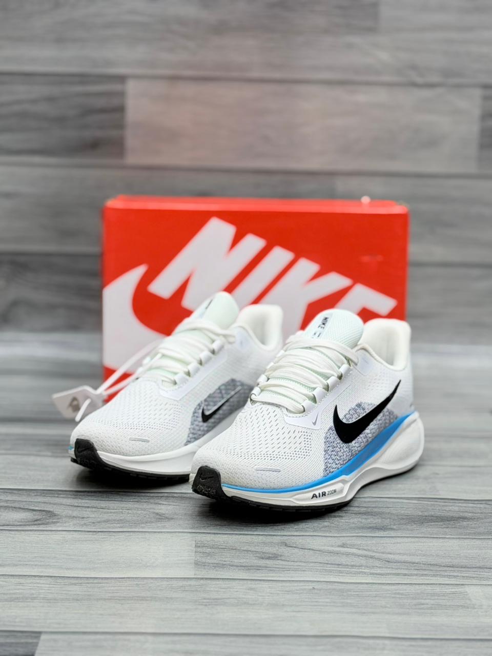 Nike Zoom Pegasus