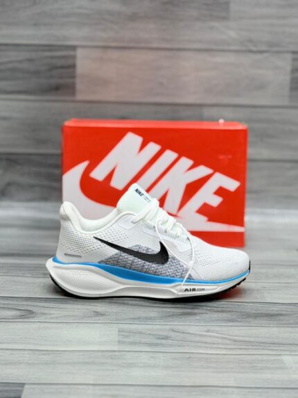 Nike Zoom Pegasus